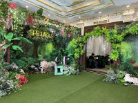 TRANG TRÍ KHAI TRƯƠNG